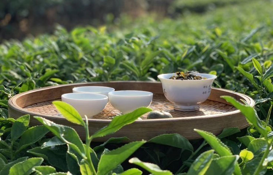 Chè thái nguyên: Tác dụng tuyệt vời cho sức khỏe bạn nên biết! Chè thái nguyên: Tác dụng tuyệt vời cho sức khỏe bạn nên biết!