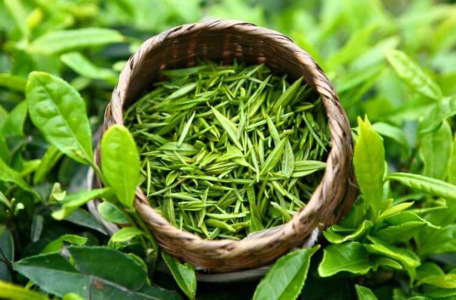 Tại sao chè Thái Nguyên lại ngon nhất? Tại sao chè Thái Nguyên lại ngon nhất?